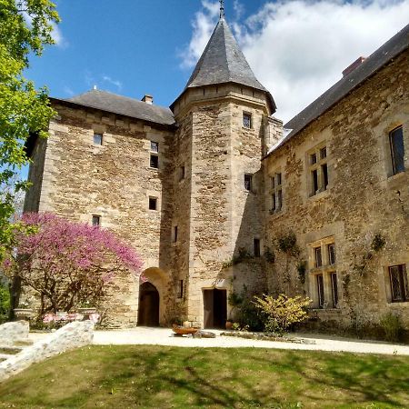 Chateau De Chanze Faye-d'Anjou Luaran gambar