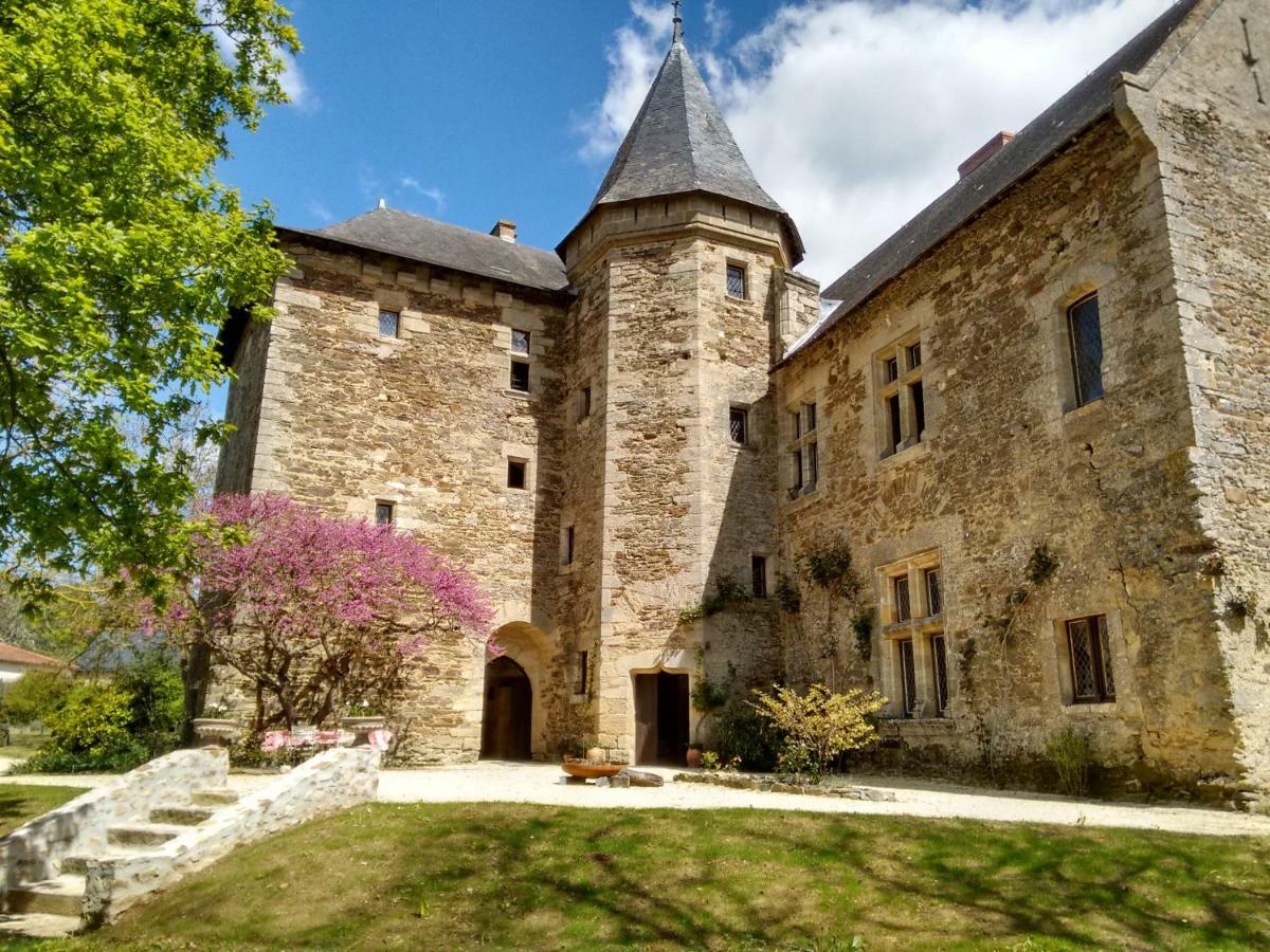 Chateau De Chanze Faye-d'Anjou Luaran gambar