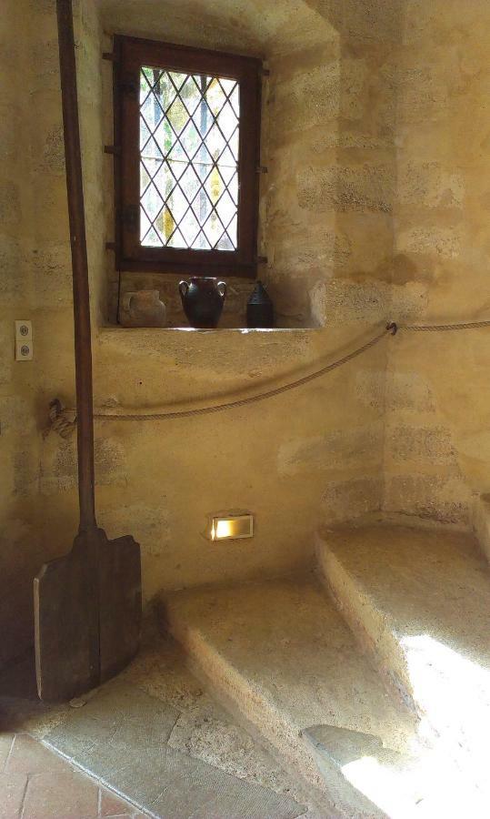 Chateau De Chanze Faye-d'Anjou Luaran gambar
