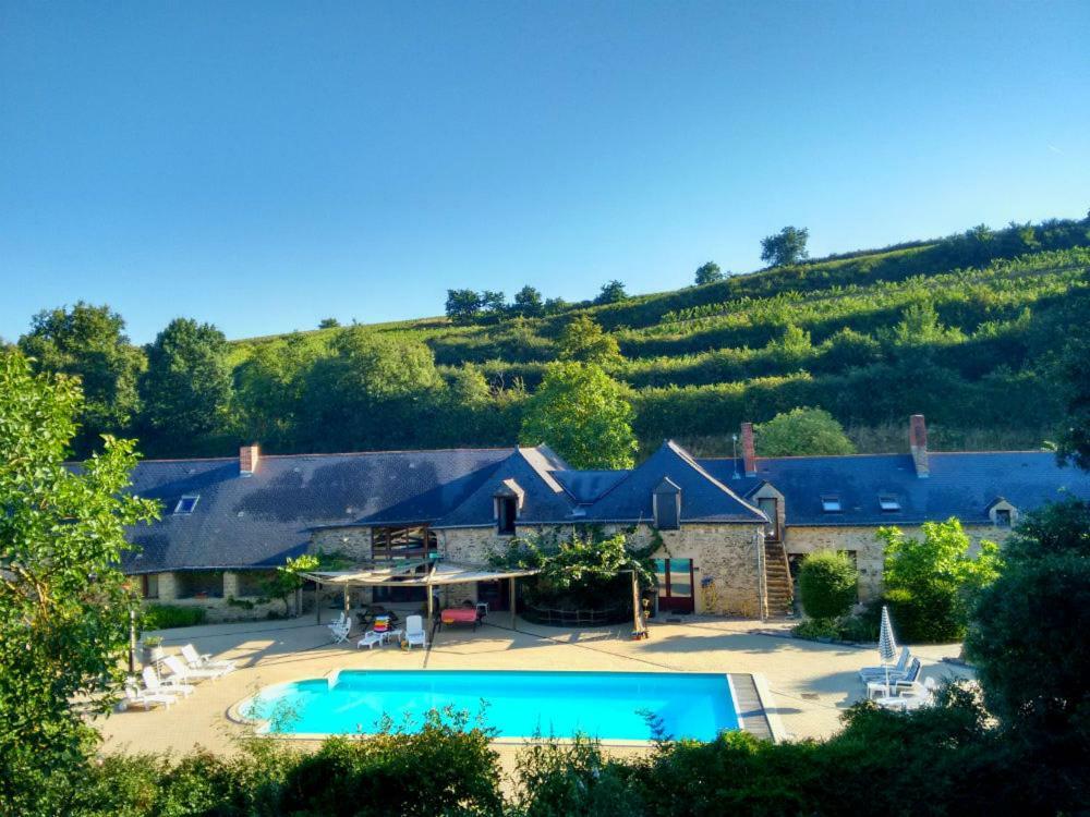 Chateau De Chanze Faye-d'Anjou Luaran gambar